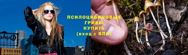 мет Медвежьегорск