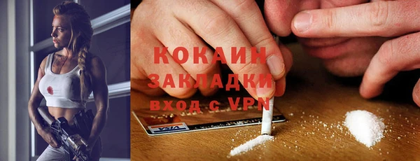 сатива Мегион