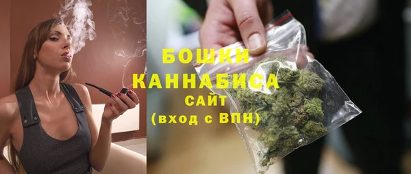 сатива Мегион