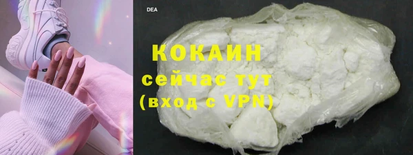 сатива Мегион
