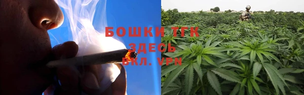 PSILOCYBIN Медногорск