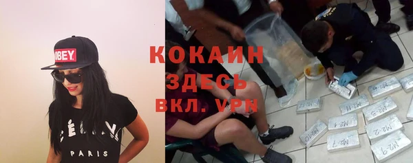сатива Мегион