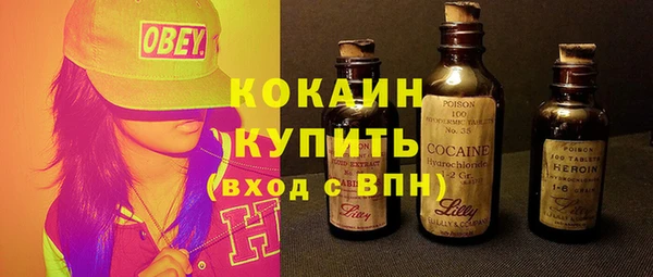 сатива Мегион