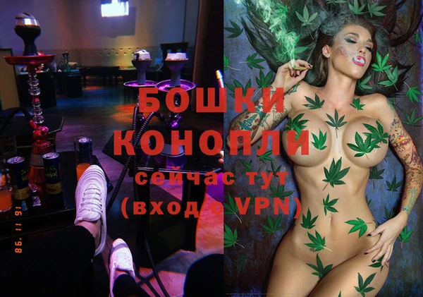 PSILOCYBIN Медногорск