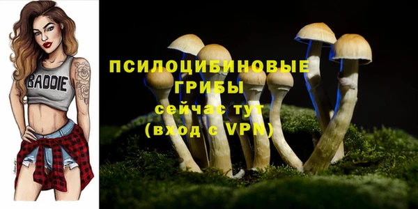 мет Медвежьегорск