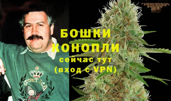 PSILOCYBIN Медногорск