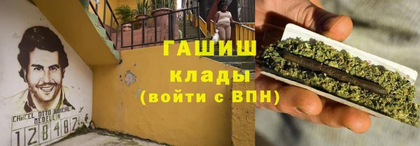 сатива Мегион