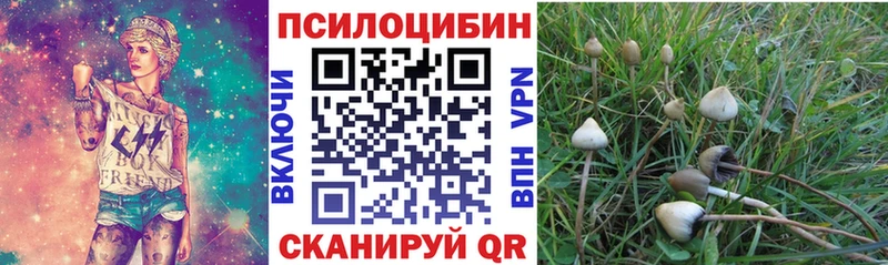 блэк спрут как войти  Железногорск  Галлюциногенные грибы мицелий 